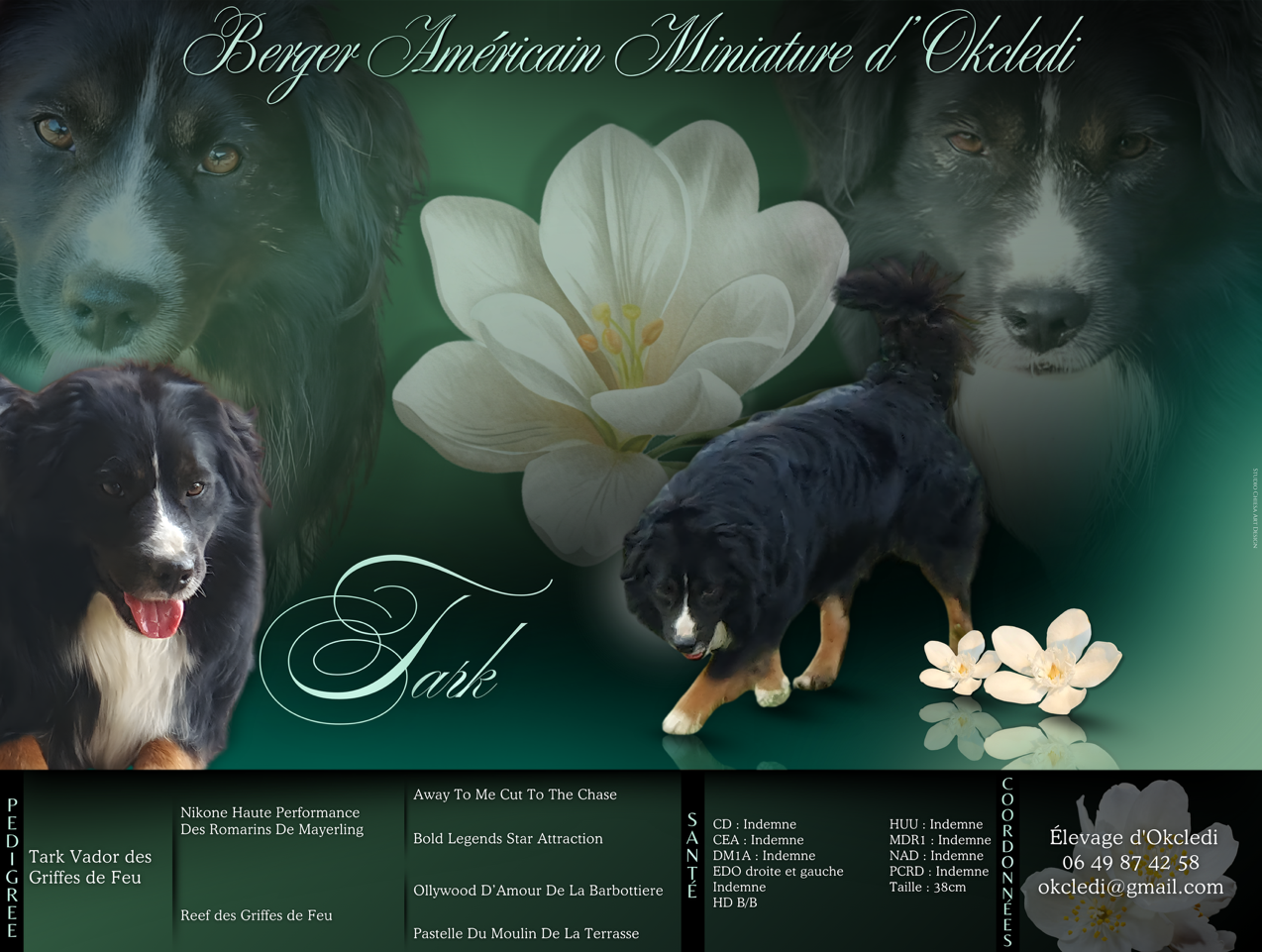 Tark vador Des Griffes de Feu