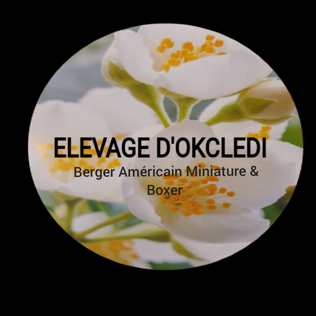 D'Okcledi